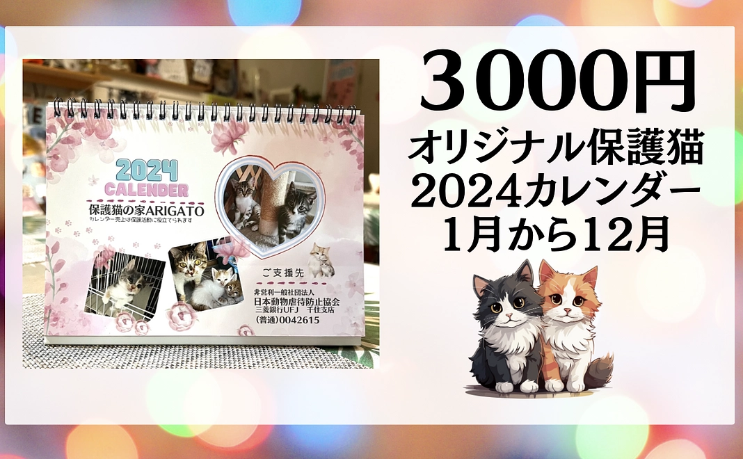 3000円応援！2024年オリジナルカレンダー