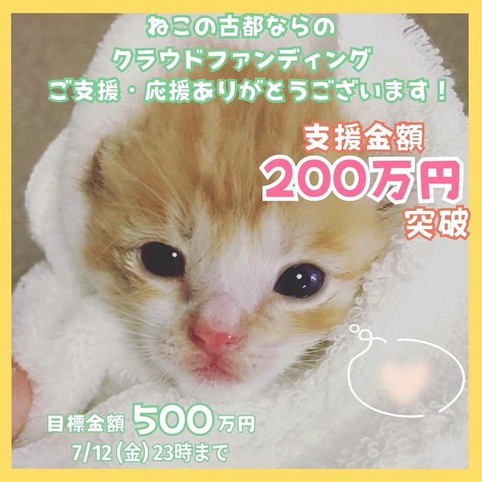 新聞社さんの取材がありました