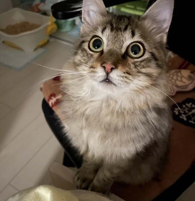 心からの感謝と、お腹ピーピーで急遽病院へ😢