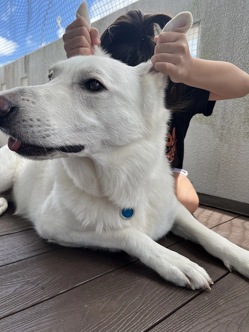 ご支援有難うございます。助かります😢