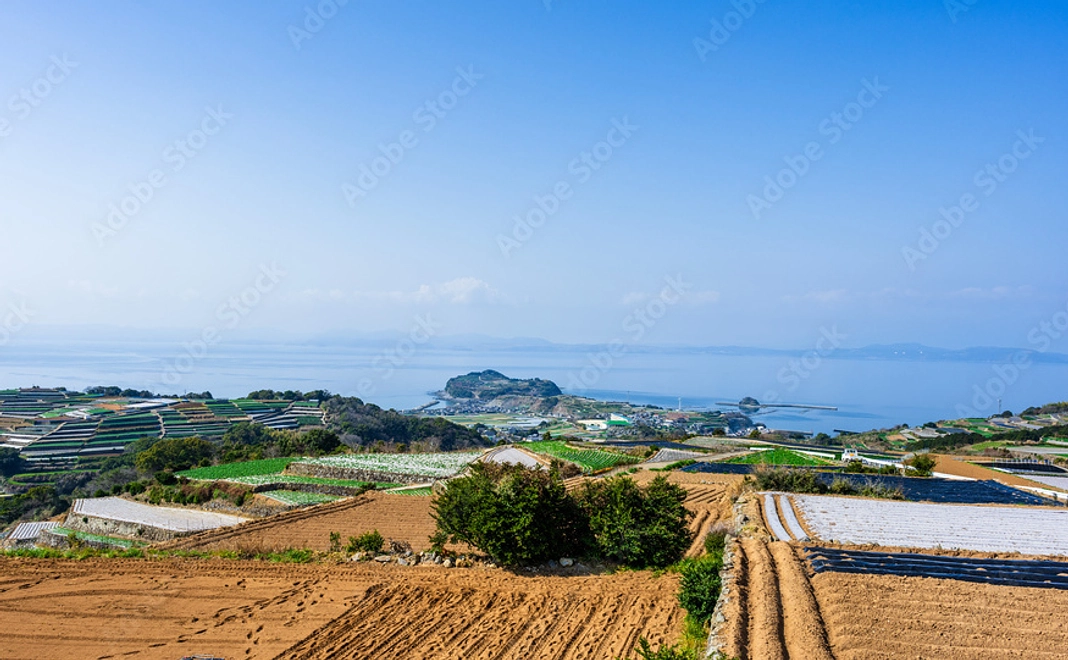 リターン不要な方向けコース 5000