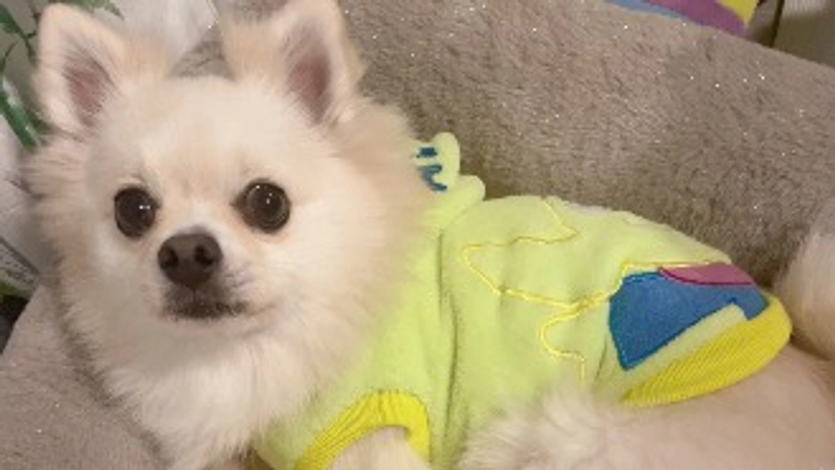 クラウドファンディング7日目