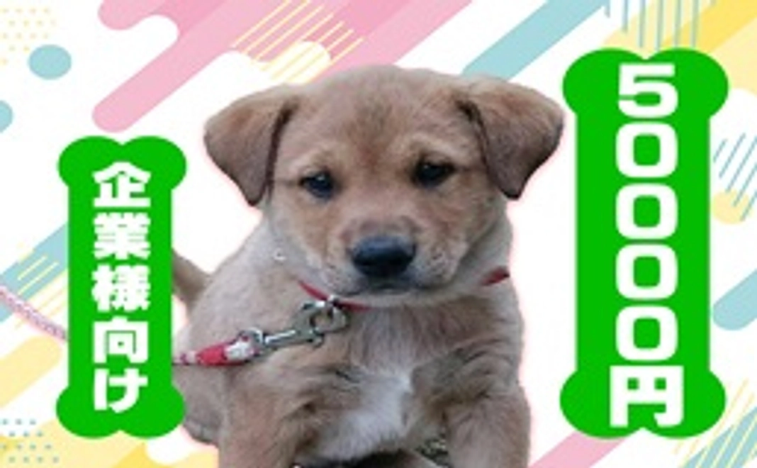 毎月50000円コース