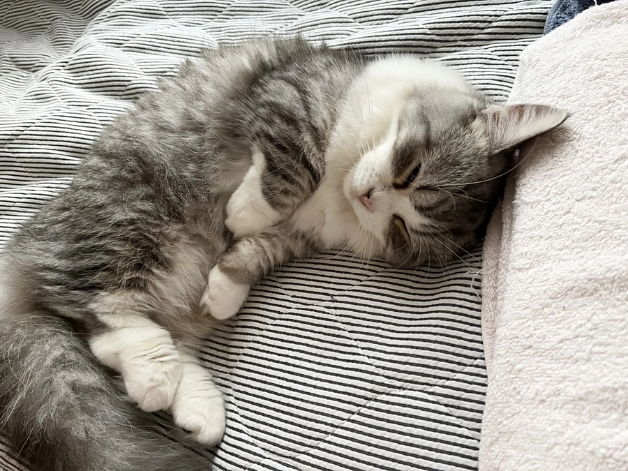 治療49日目のココロ