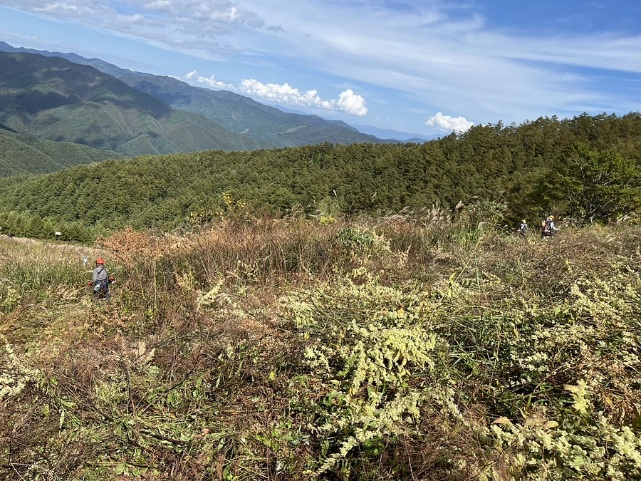 ネクストゴールを目指して