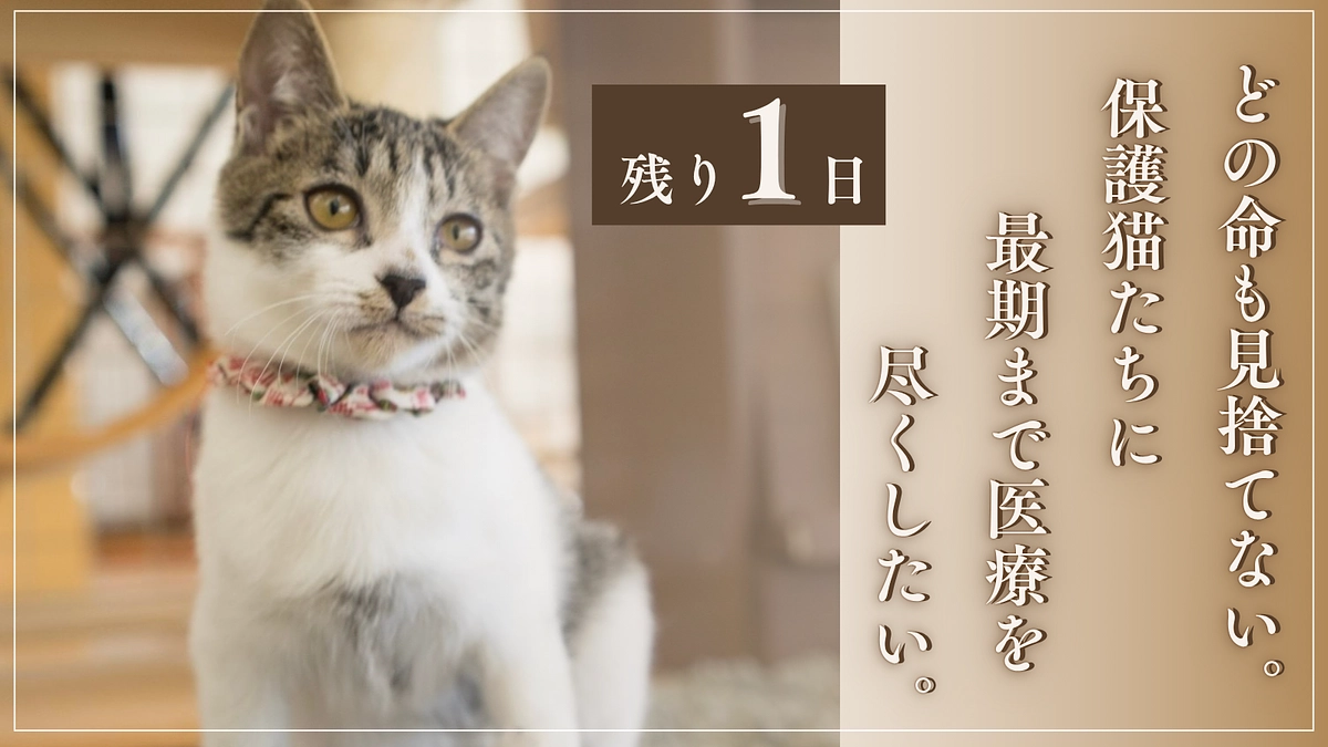 【残り1日】人気のリターンをご紹介させていただきます！