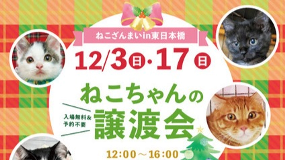12/3 日本橋で開催された譲渡会に参加してきました！