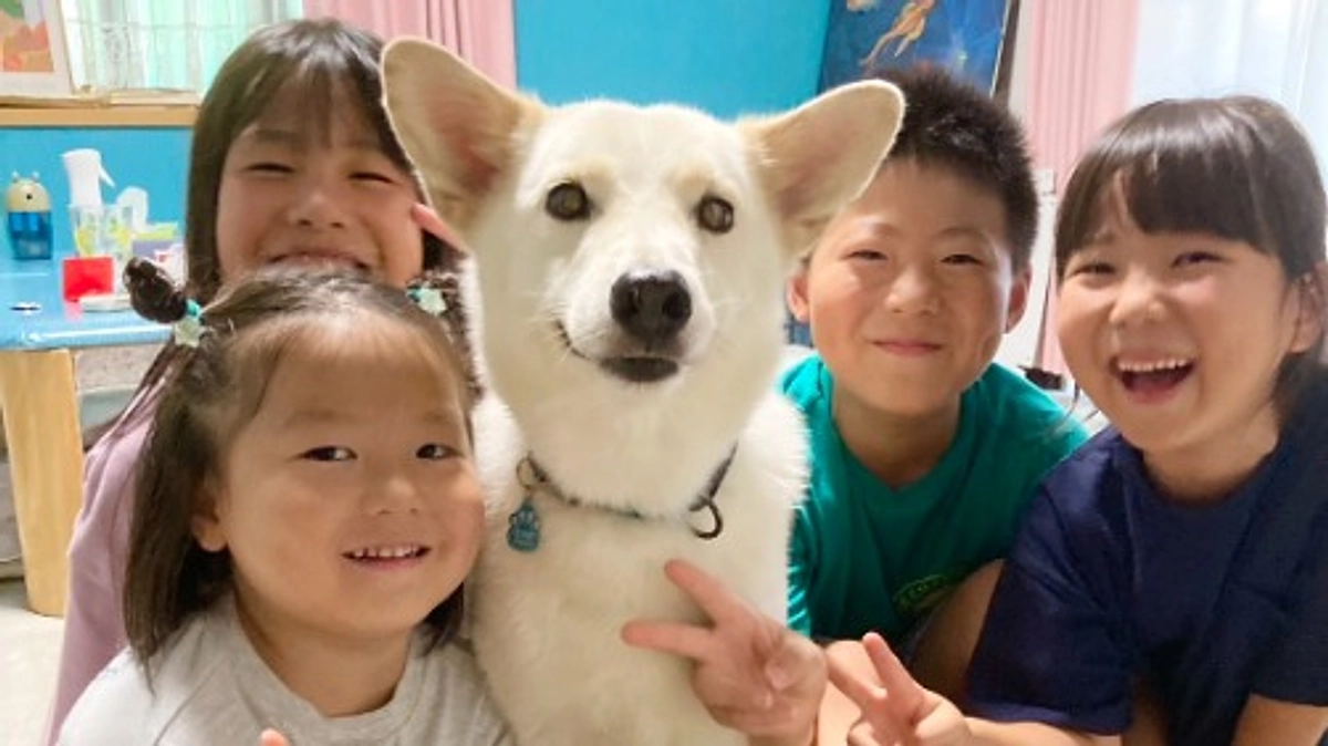 ⚠️今、一番の難所を迎えています。終了まで1ヶ月を切りいまだ達成率23％…叶えたい保護犬猫の共生社会