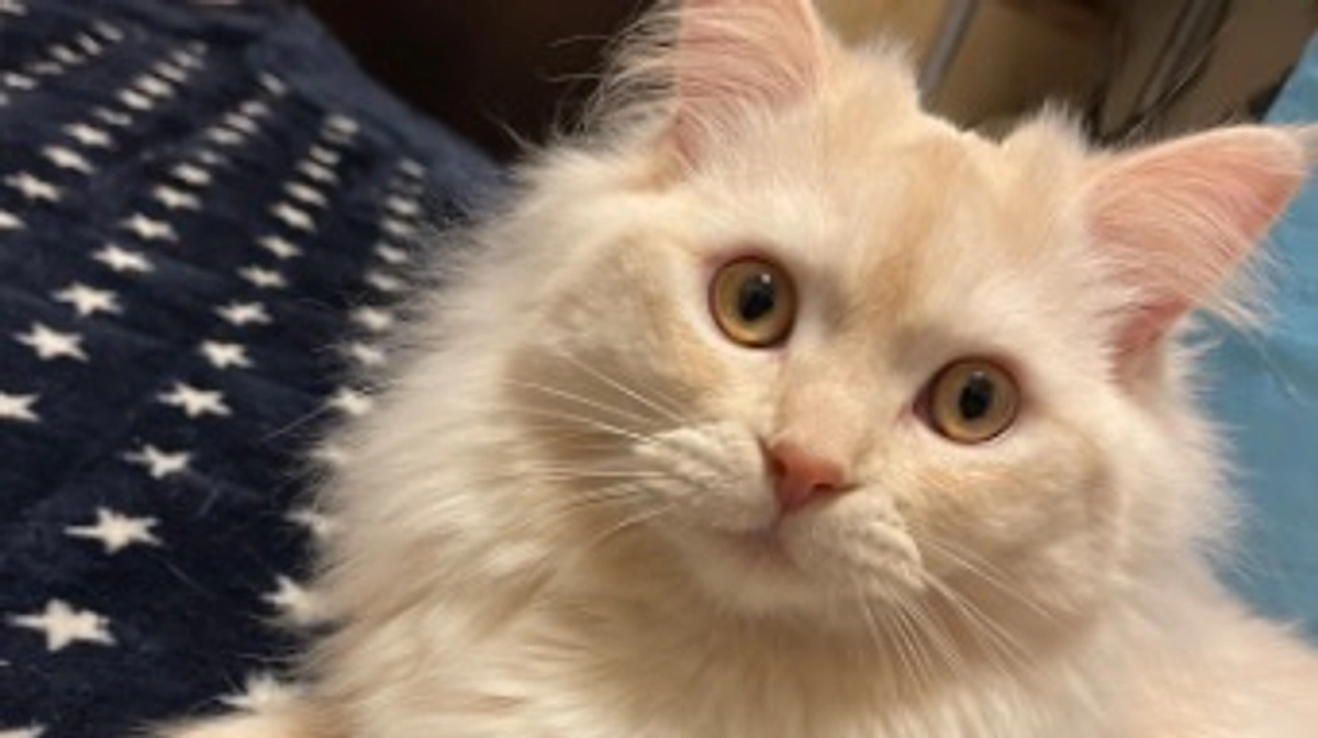 今日のトキ☀️