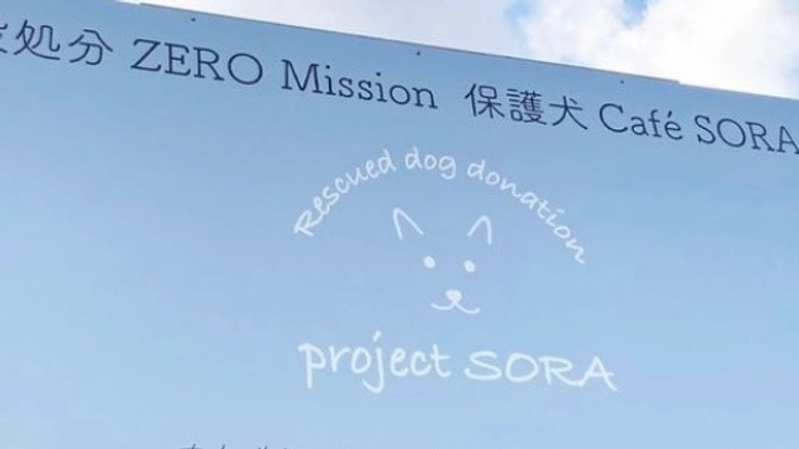 ドッグラン&カフェで殺処分ゼロ!!頑張っている運営を助けたい