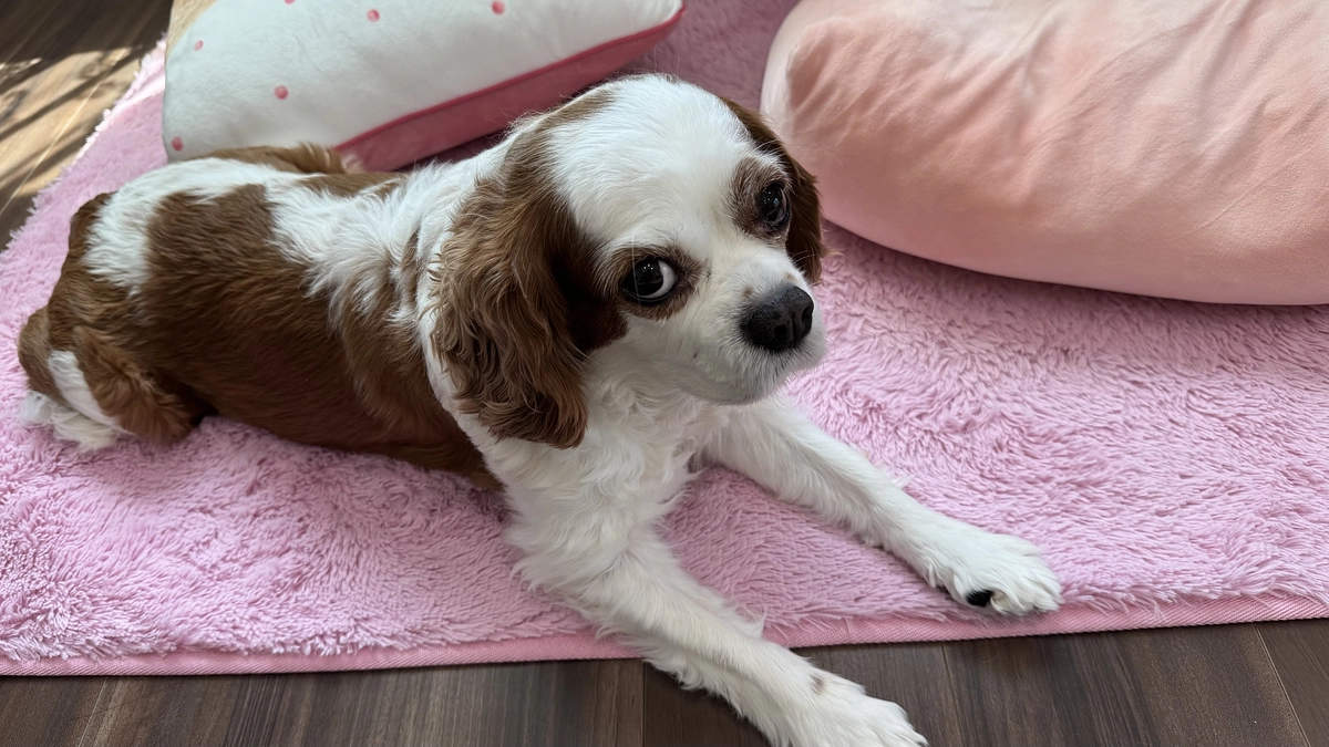 あと47時間です！【58日目】