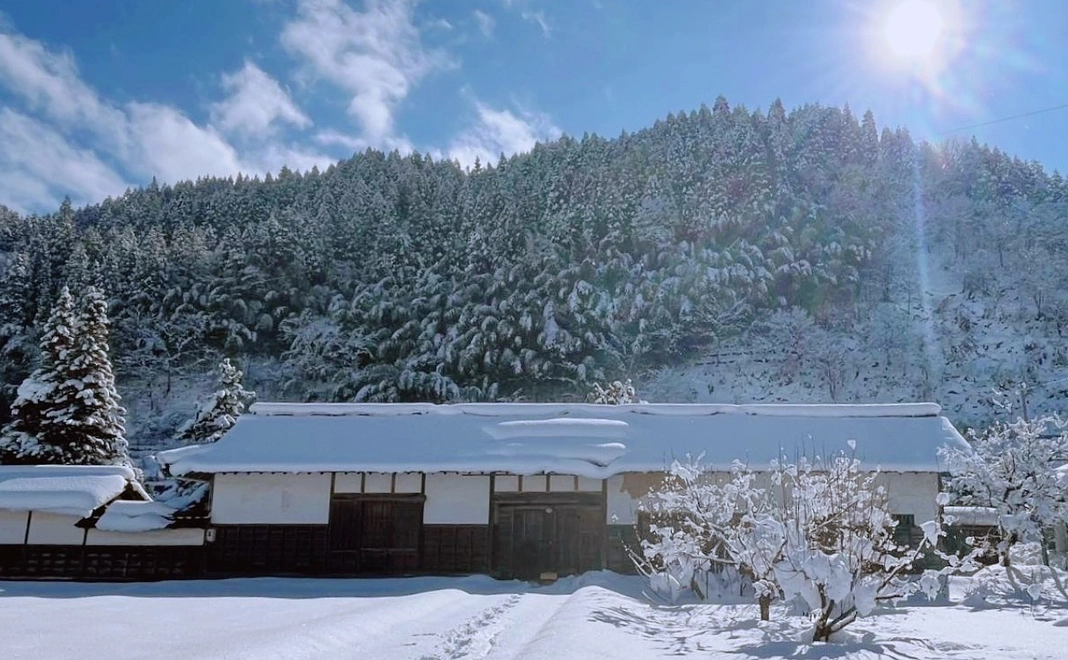 大きな声で全力応援！コース　