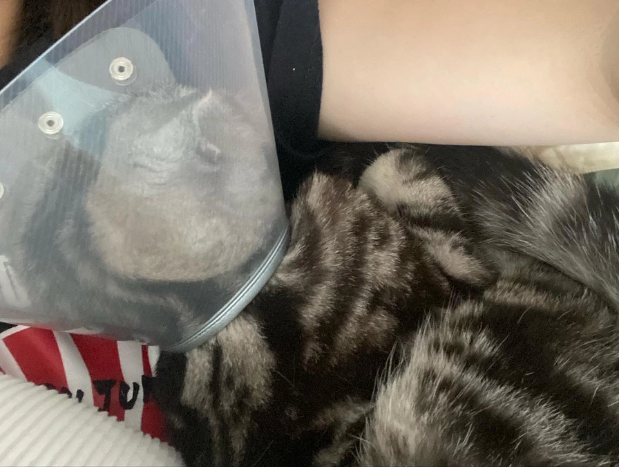 2023.6.12🔥 #闘病生活 55日目🔥