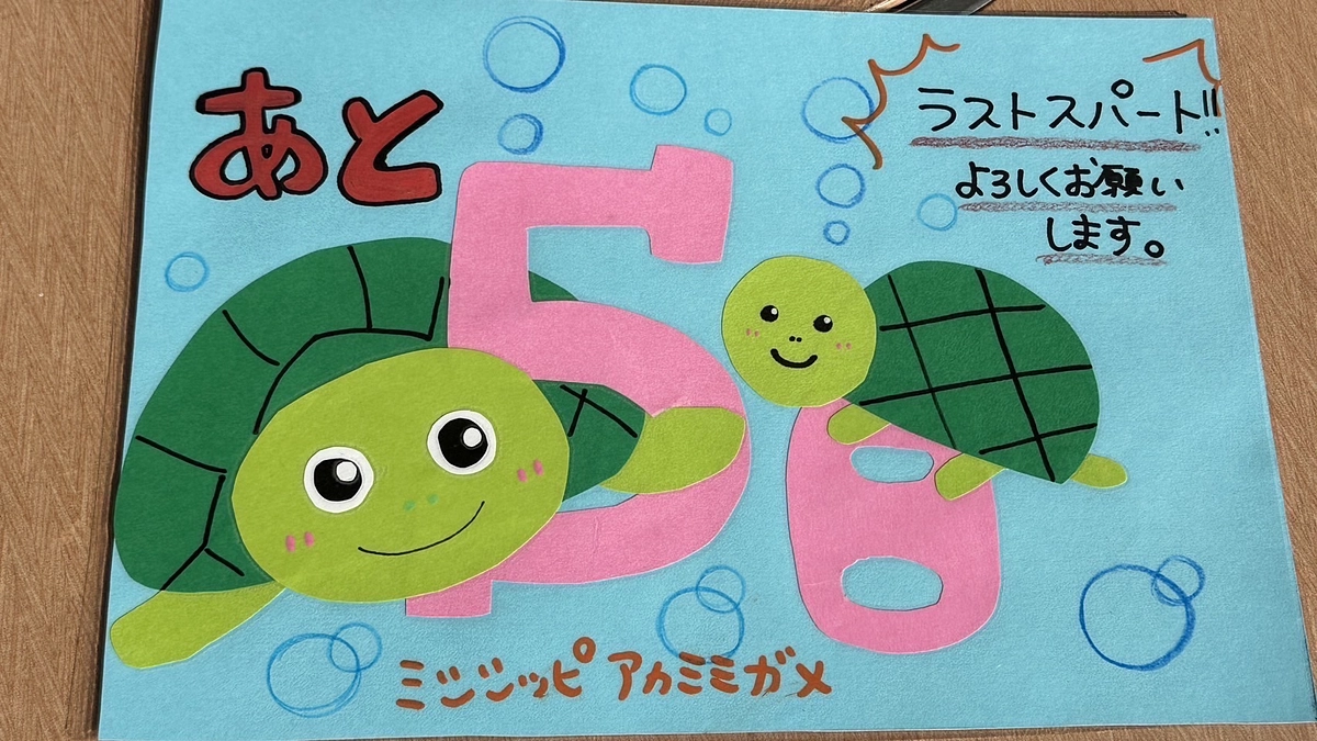 日本ドルフィンセンター クラウドファンディング残り5日となりました！