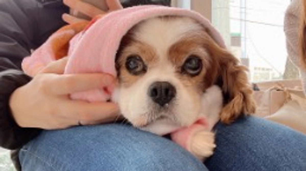 今日は血液検査に行ってきました。