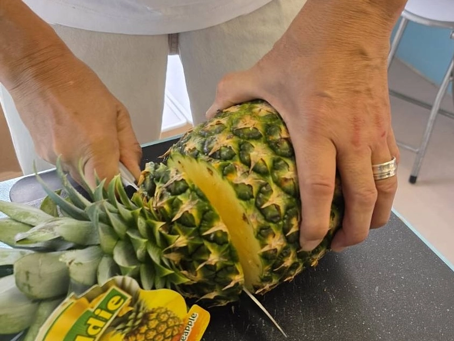犬のために！地域のために！子どもたちのために！いろいろ活動しています！！