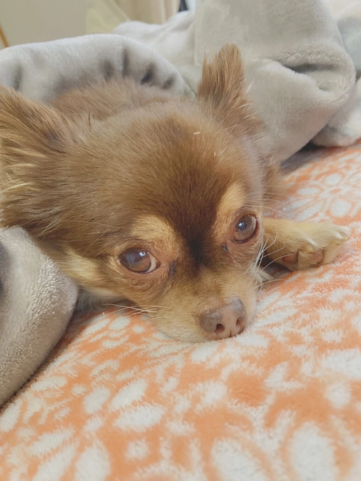 ⭐️ゆうちょ銀行に11/14に匿名でご支援してくださった方へ⭐️