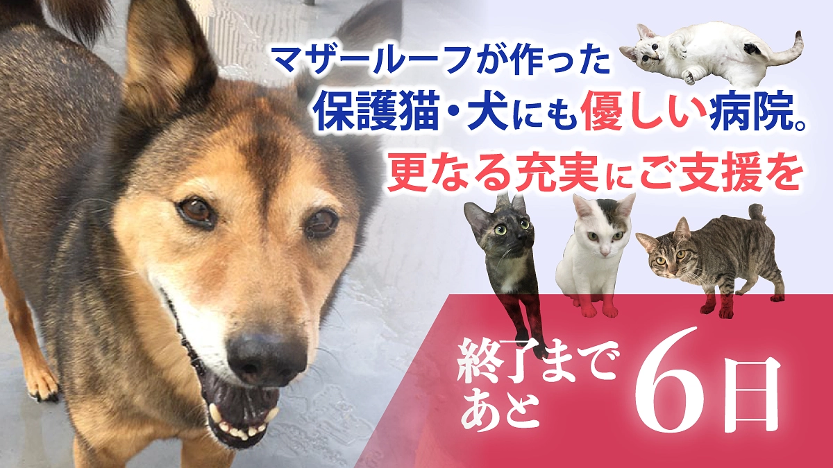 【残り6日！】病院設備を充実させるために「目標金額300万円」としてプロジェクトに挑戦してます！