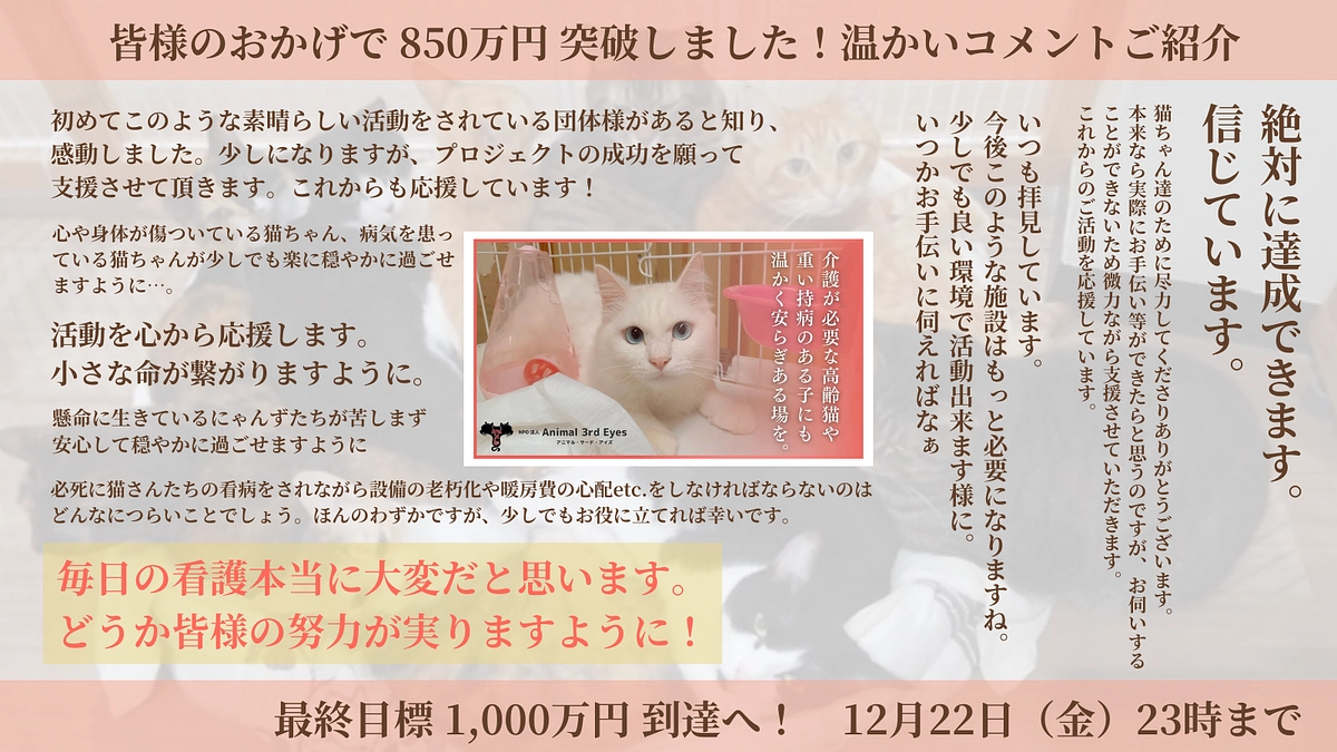 【850万円突破！残り2日駆け抜けます！】あたたかい応援メッセージのご紹介