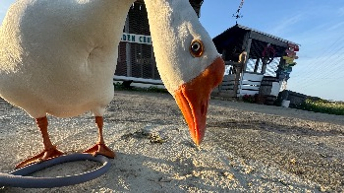 GW突入！の近況報告