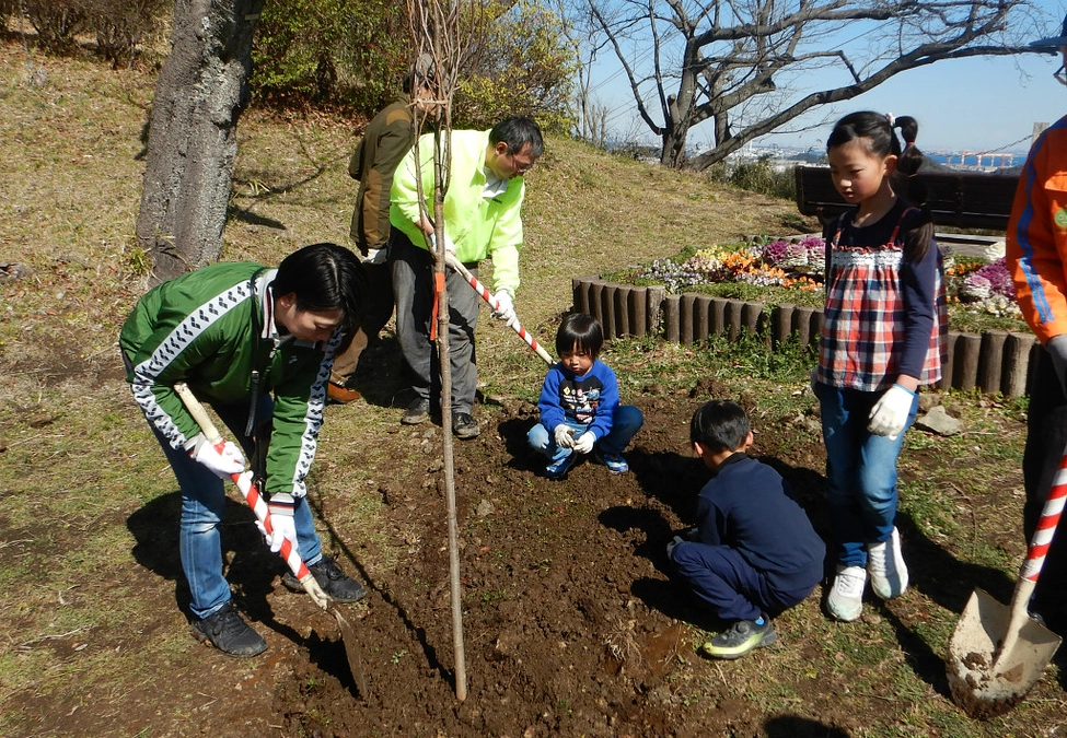 【塚山公園】桜植樹体験イベント＆桜の捕植