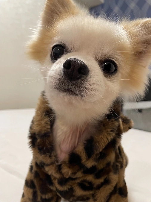 ２回目の事後検診！