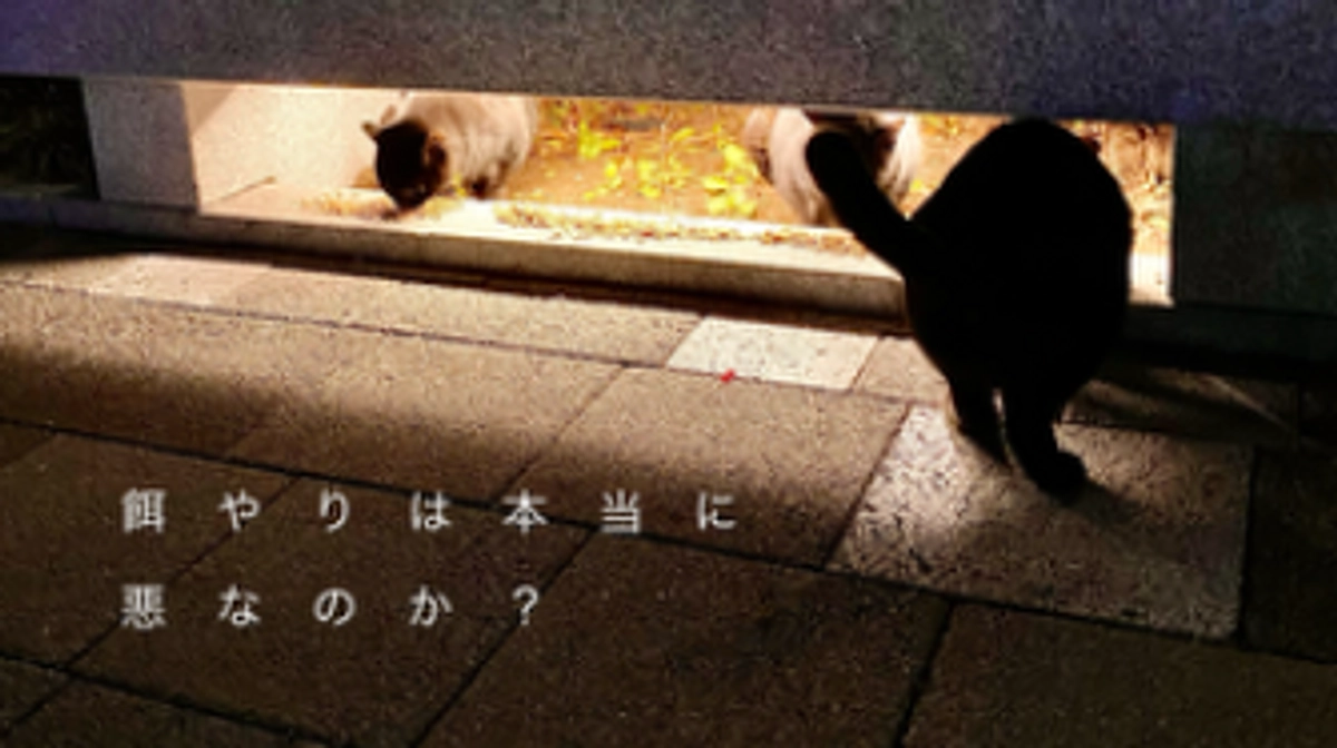 餌やりは悪い事？