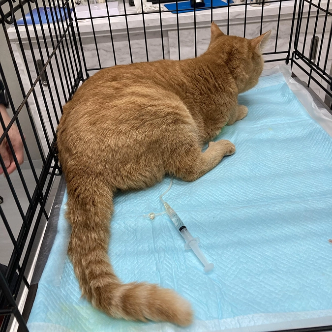 続　ベルちゃん