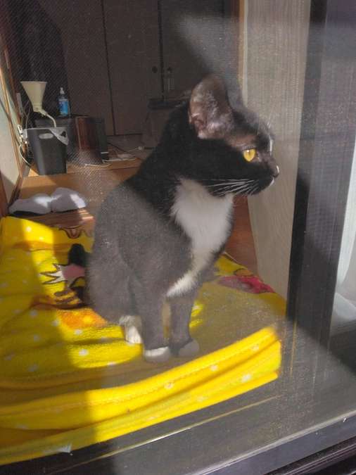 2/13はなちゃんの様子