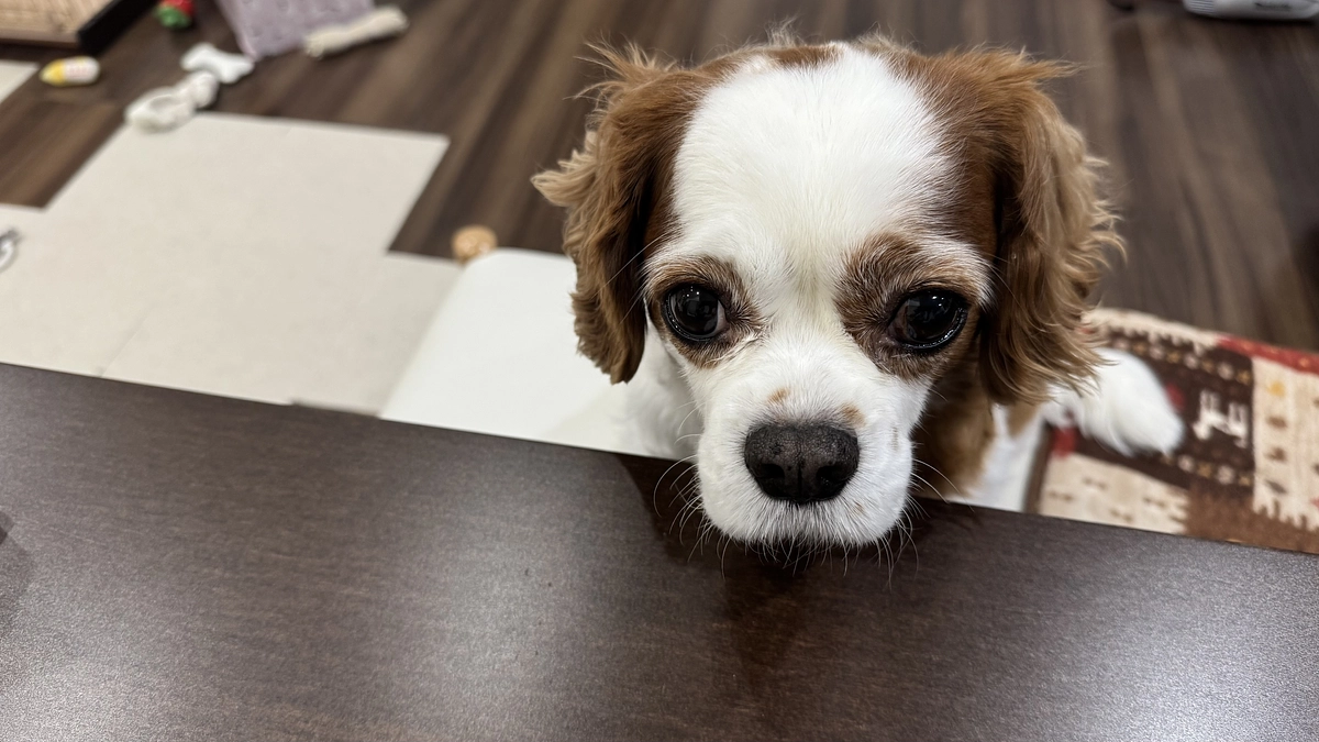 暖かいメッセージに救われています【28日目】