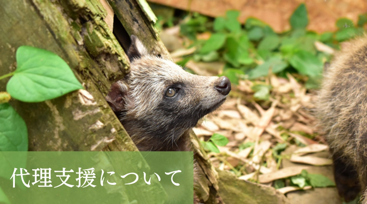 代理支援について