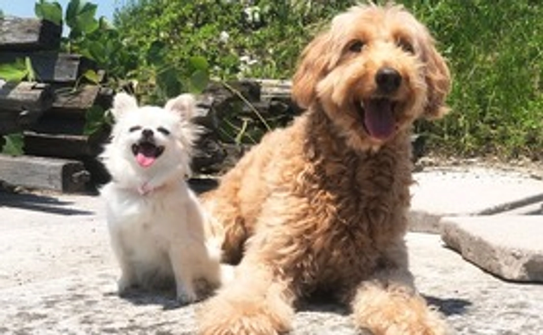 1万円：体験コース