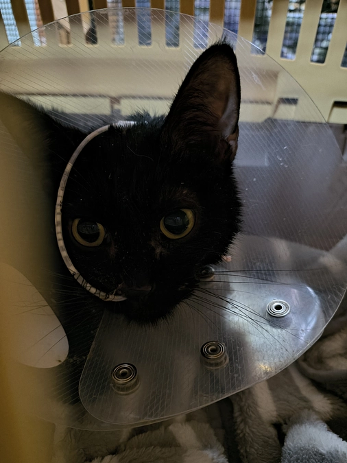 小さな小さな活動