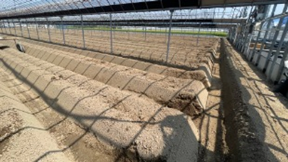 イチゴを植える準備が着々と進んでいます！