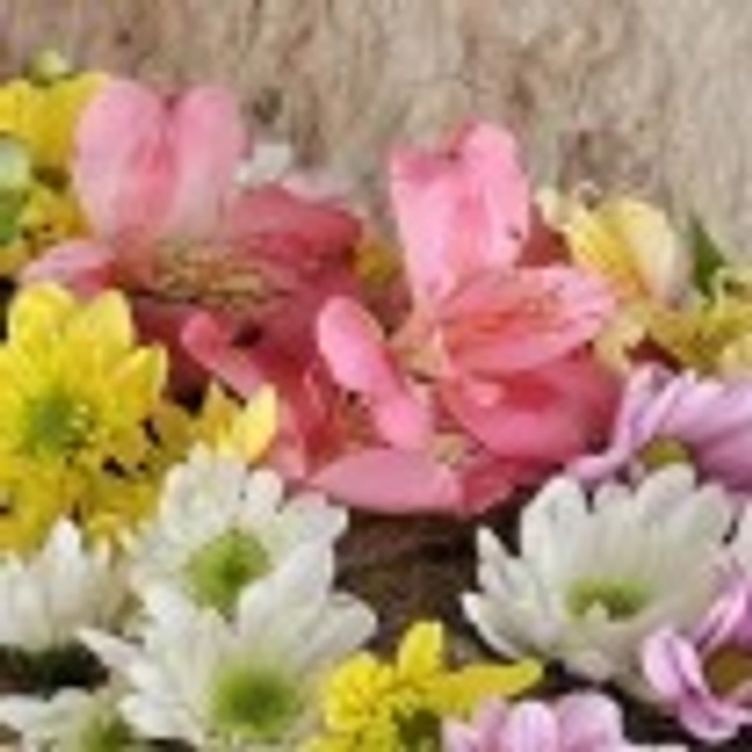 にゃんこのため、あらためて、安全運転のお願い