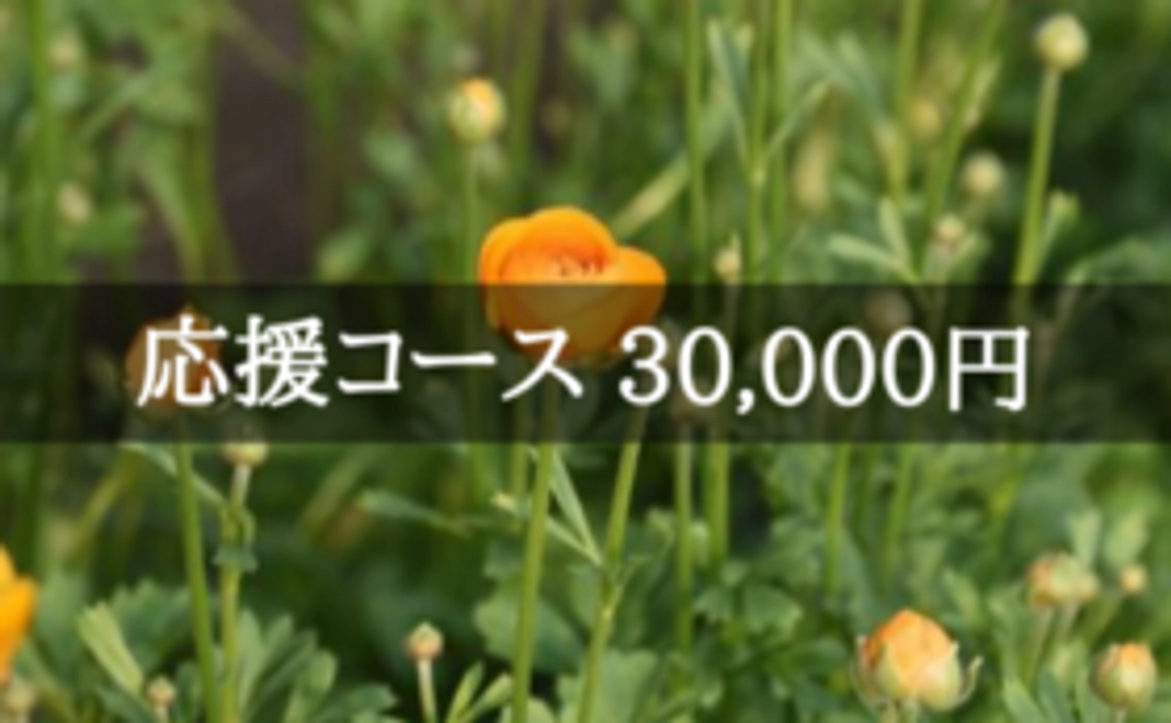 花き園芸農家の再建を応援！｜30,000円コース