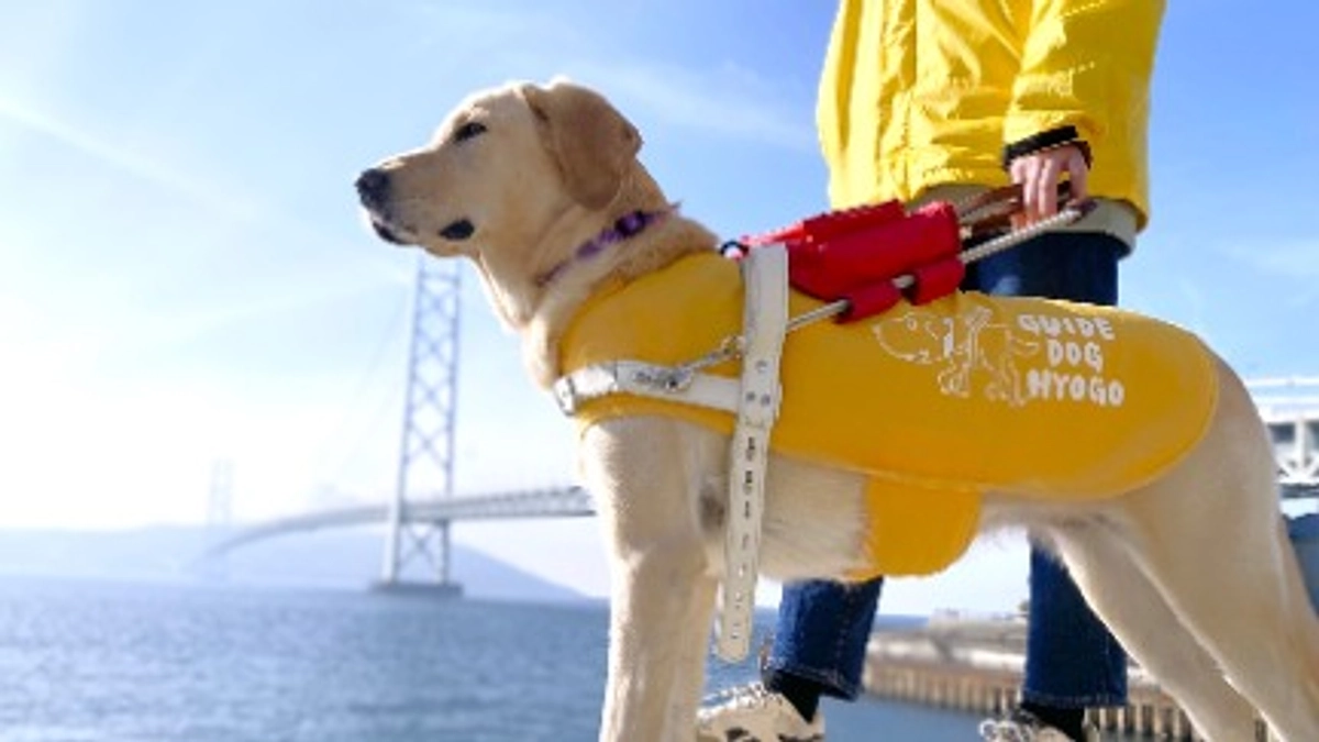 今年の挑戦が始まりました！