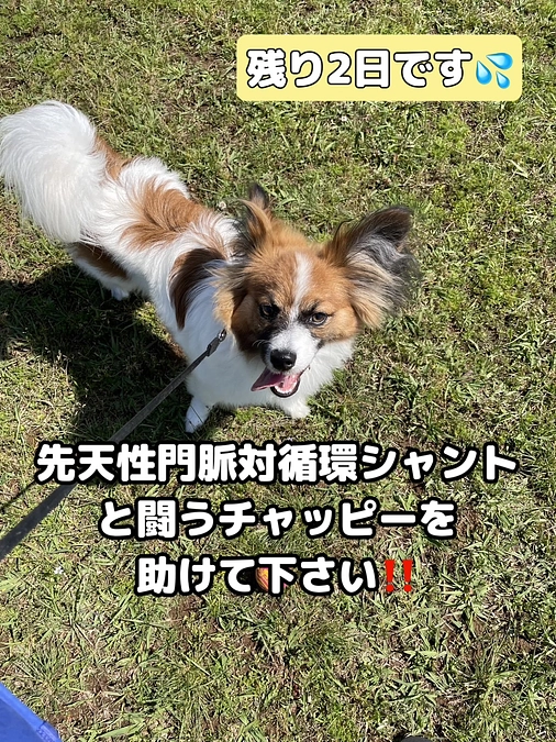 残り２日となりました。