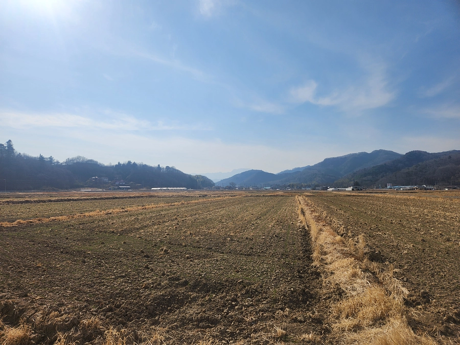 春はそこまでやってきています🌸