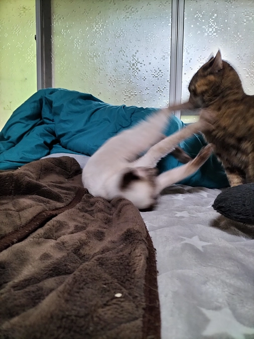 お嬢SUN  VS　ハイド君