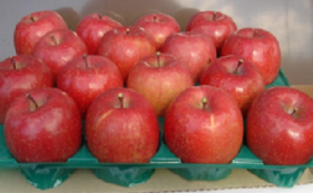 飯綱町のりんごを味わい、北部高校の地域おこしを全力で応援してください！