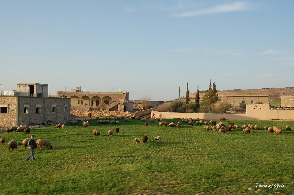 リターン進捗についてのご報告