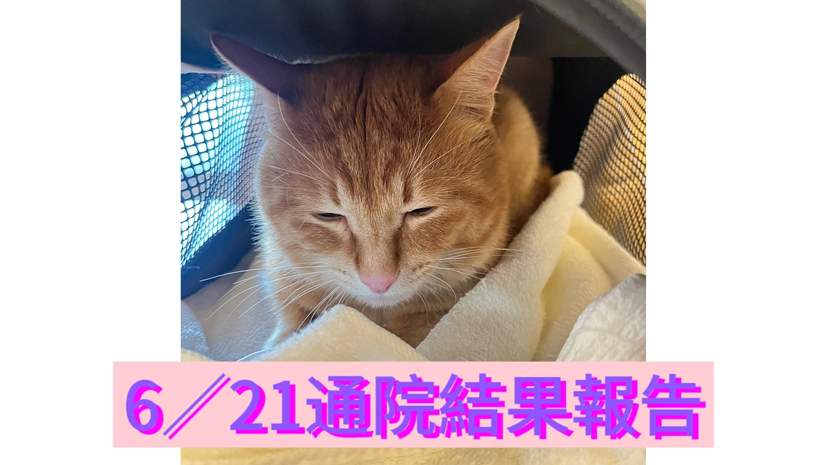 6/21通院結果報告