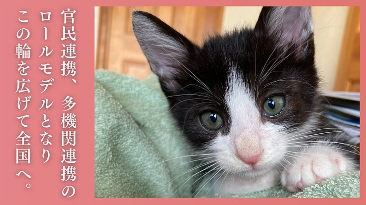 多頭飼育崩壊に歯止めを！行政施設内に「不妊手術専門病院」の開設へ 7枚目