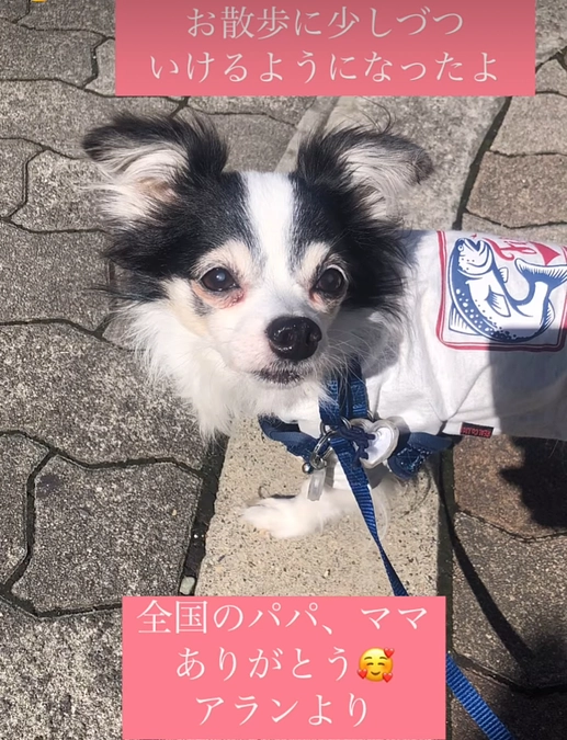 定期検診のご報告