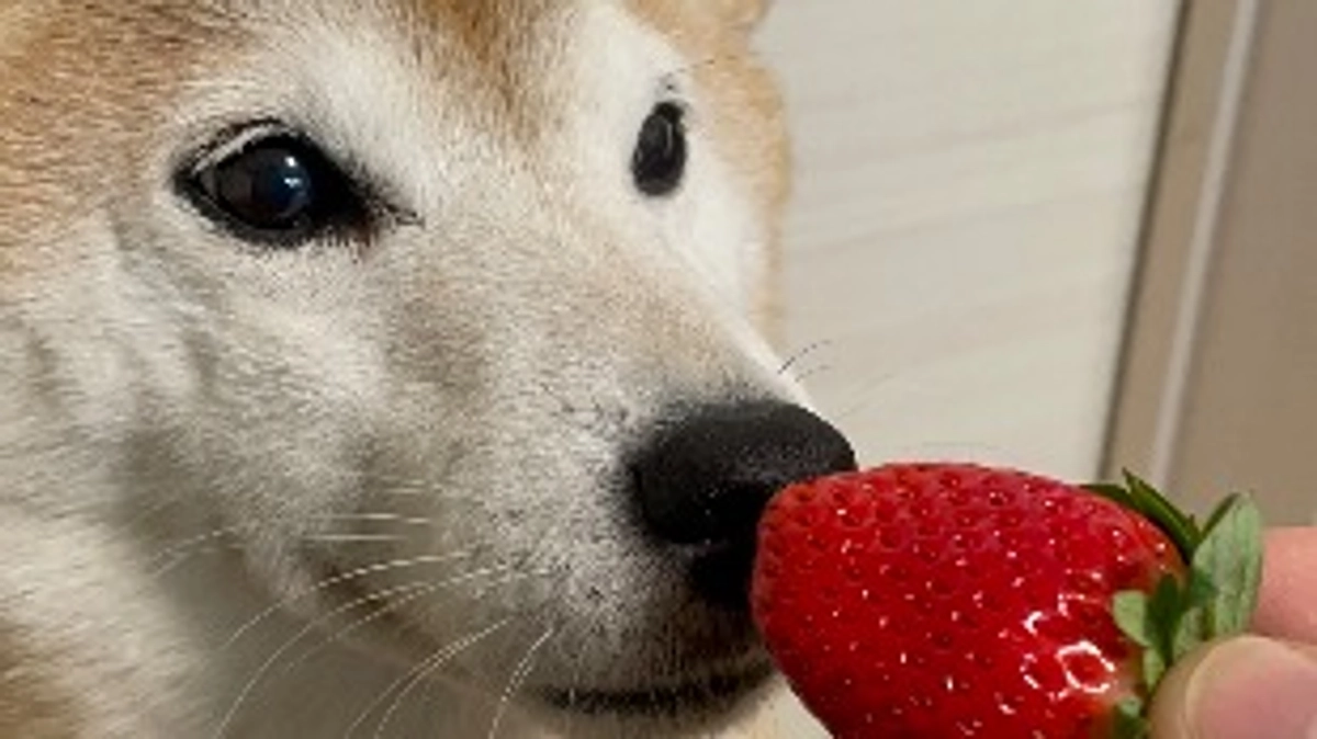 リターンの発送準備