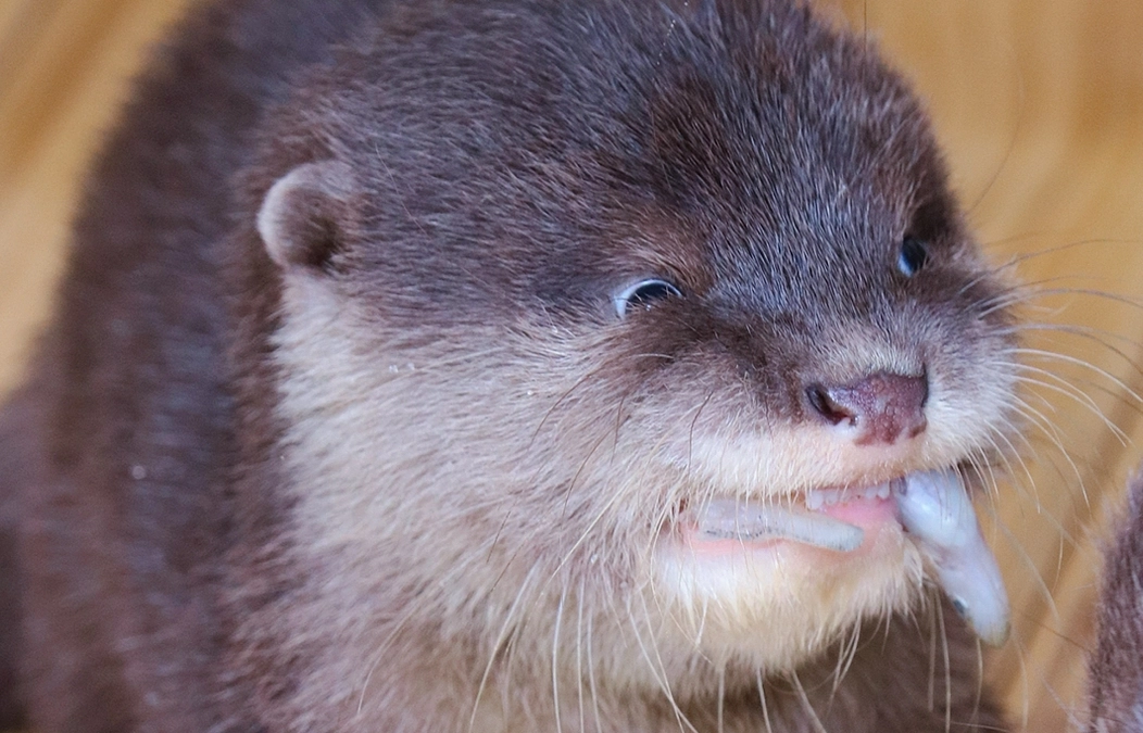 ＼高知新聞で記事が公開されました／