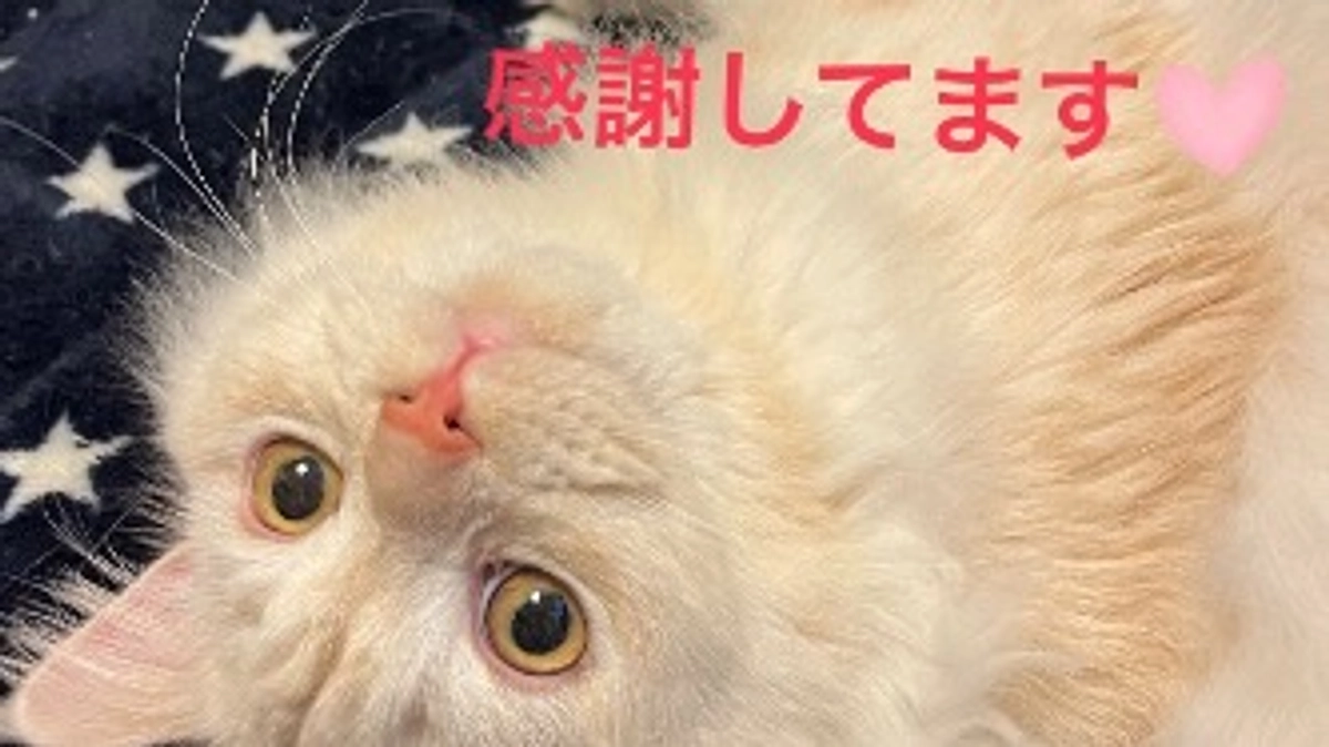 本日、ご支援をいただきました！