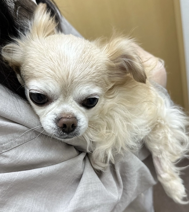 皆様のおかげで達成する事ができました‼️本当にありがとうございました🙇‍♀️