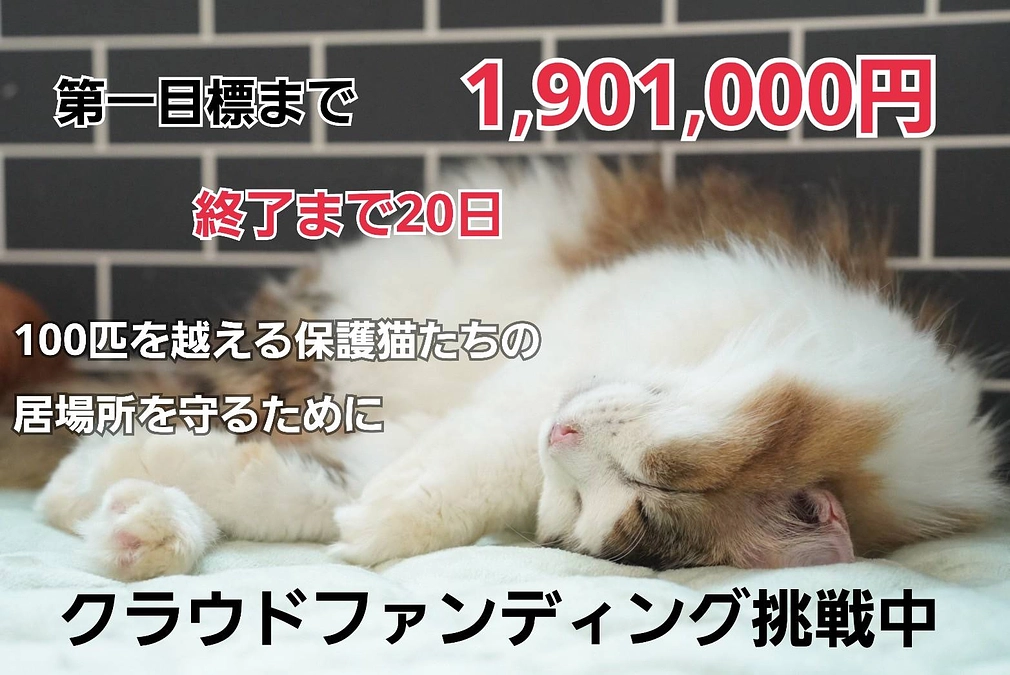 応援して下さっている皆様へ